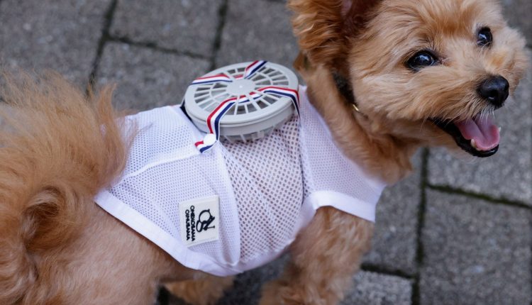 جاپان: جانوروں کو گرمی سے بچانے کیلئے خصوصی لباس تیار