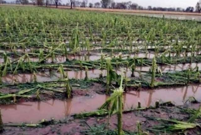 سیلاب سے پاکستان کے زرعی شعبے کو 536 ارب روپے سے زائد کا نقصان