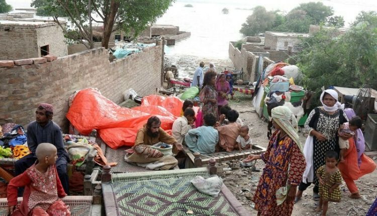 سیلاب سے نقصانات کا حجم 30 ارب ڈالر سے تجاوز کرے گا،مسعودخان