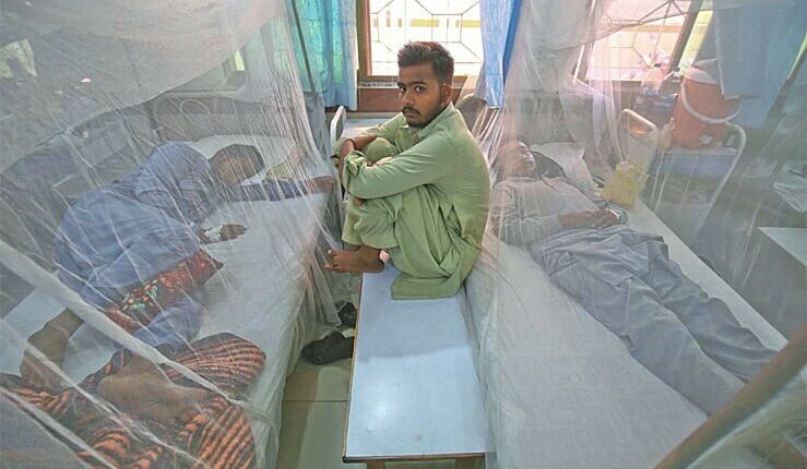 بسترکم مریض زیادہ،کروناوارڈزکوڈینگی وارڈز میں تبدیل کرنیکا فیصلہ