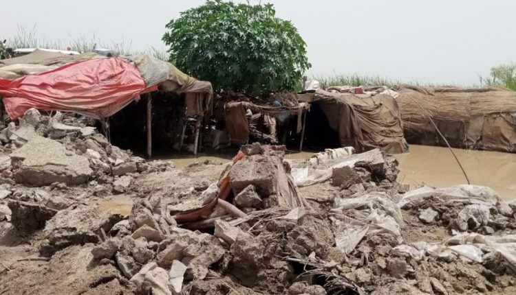 بلوچستان میں سیلاب سے اموات 300 ہوگئیں، لاکھوں مویشی ہلاک،پی ڈی ایم اے