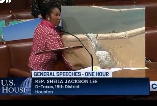 امریکی رکن کانگریس کی ایوان نمائندگان میں پاکستان کےسیلاب متاثرین کیلئے مدد کی اپیل