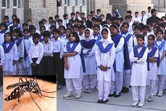 کراچی میں ڈینگی کا پھیلاؤ: اسکولوں میں اسمبلی و پی ٹی سیشن معطل