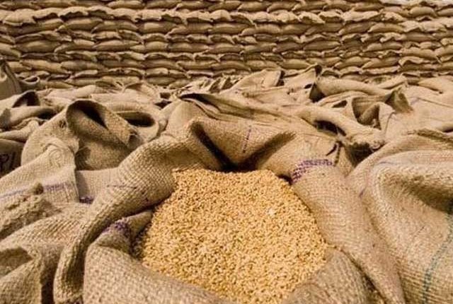 ملک میں گندم کے وافر ذخائر موجود ہیں، وزارتِ فوڈ سیکورٹی