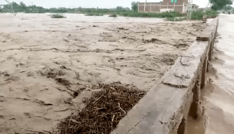 کچھی کینال سے آنے والے سیلابی ریلوں نے پٹ فیڈر کینال میں تباہی مچا دی کینال مٹی کی تہہ سے بھر گئی