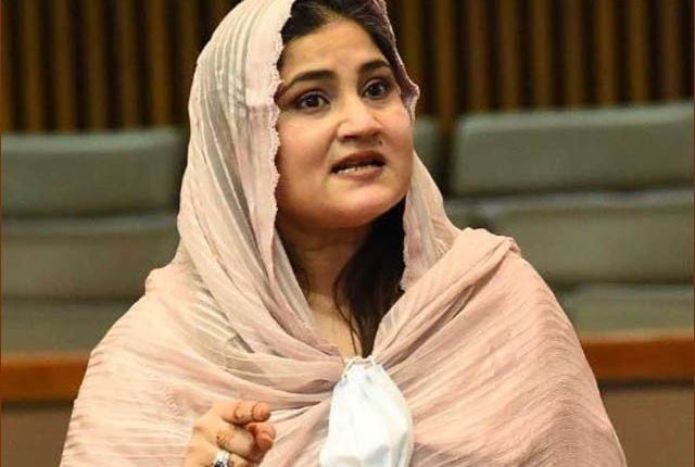 گورنر سندھ کیلیے کامران ٹیسوری ہی ملا تھا؟ جی ڈے اے