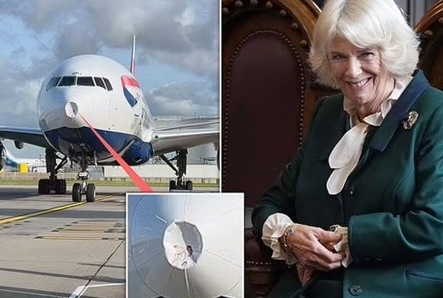 برطانوی شاہ چارلس کی اہلیہ کے طیارے سے پرندہ ٹکرا گیا