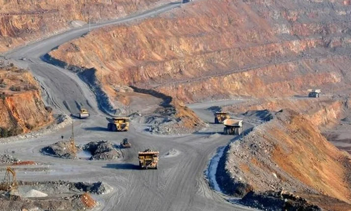 ریکوڈک کیس، چیف جسٹس بلوچستان ہائیکورٹ بار کے نمائندے کے دلائل پر بر ہم