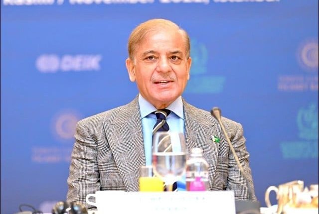 بیجنگ کی طرح ترکیہ کمپنیوں نے بھی شکایات کی ہیں، وزیراعظم