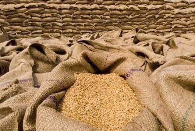 گندم ریکارڈ مہنگی، قیمت 4100 روپے فی من ہو گئی