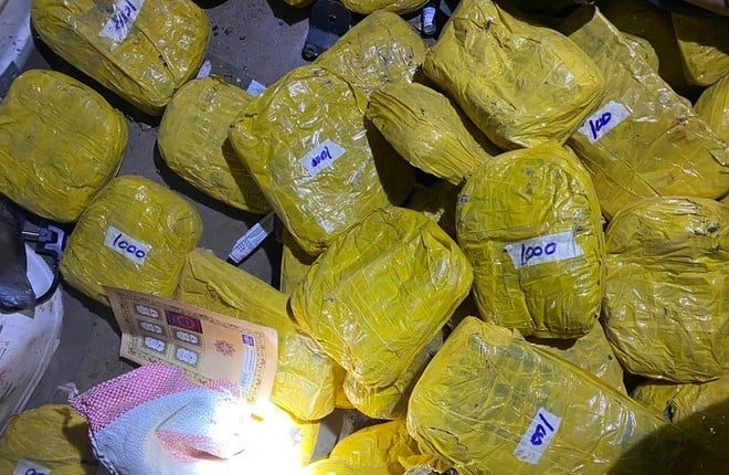 سبی میں لیویز فورس کی کاروائی، 15کلو گرام چرس برآمد