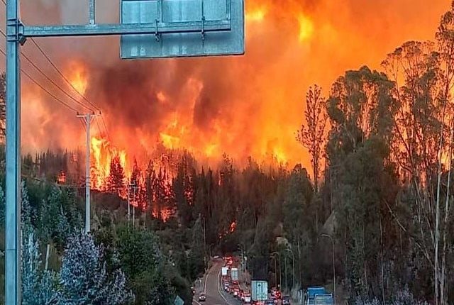 چلی کے جنگلات میں خوفناک آتشزدگی میں 23 افراد ہلاک؛ 979 زخمی