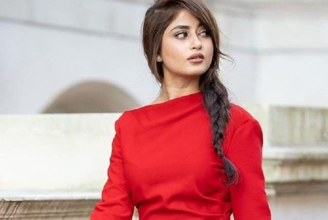 عورت کو مکمل ہونے کے لئے مرد کی ضرورت نہیں، سجل علی