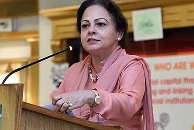 آئی ایم ایف کو بجٹ میں اخراجات ،ٹیکسوں پر تشویش ہے،وزیر مملکت خزانہ